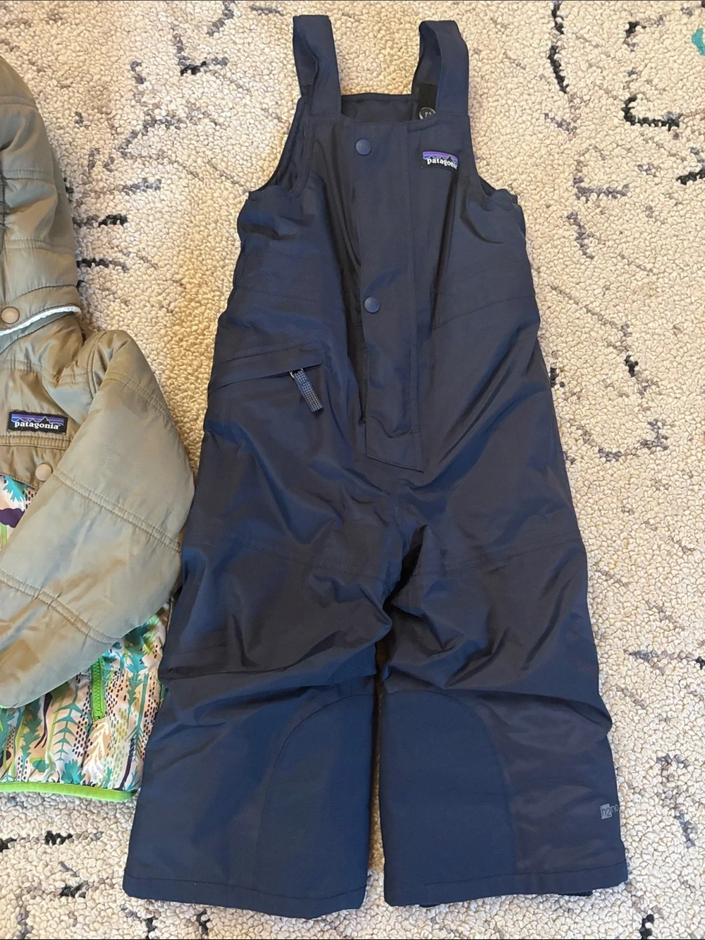Patagonia Baby/Toddler Snow Set Jacket + Bibs 2T Forest Print